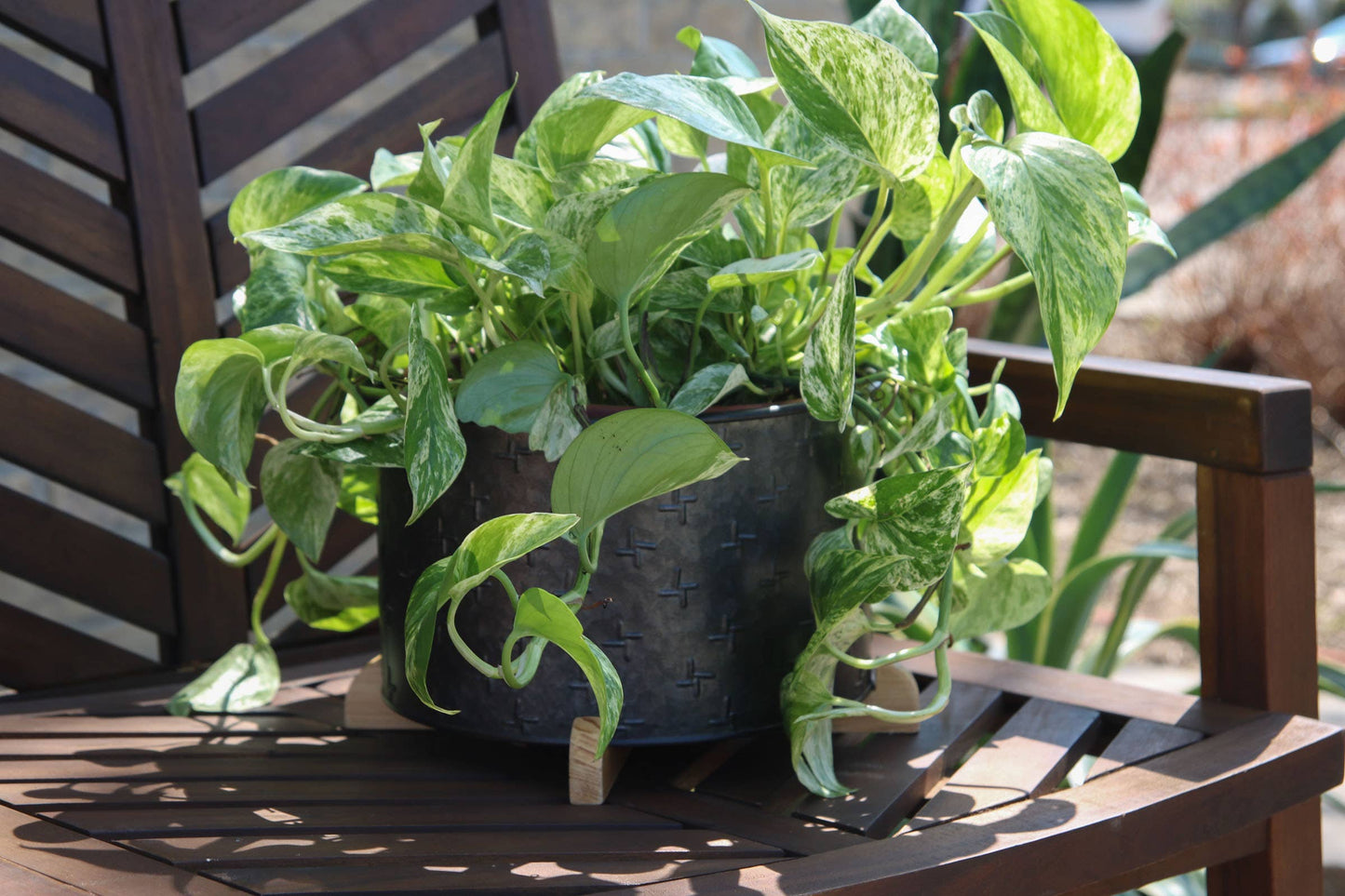 Logan Planter