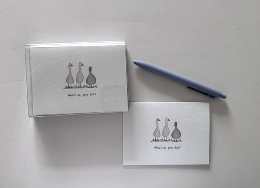 AligN Boxed Greeting Cards: What's Up, Gray Duck?