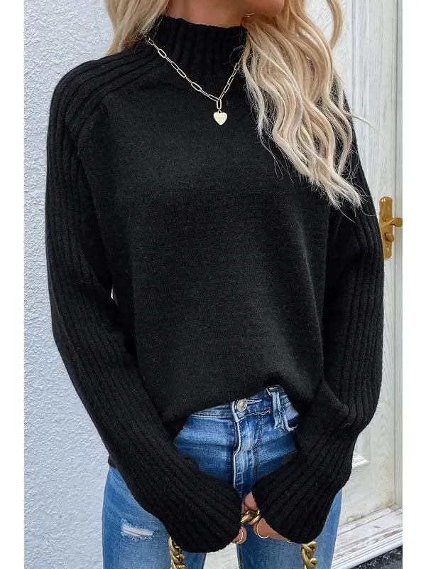 Turtle Neck Long Sleeve Casual Sweater