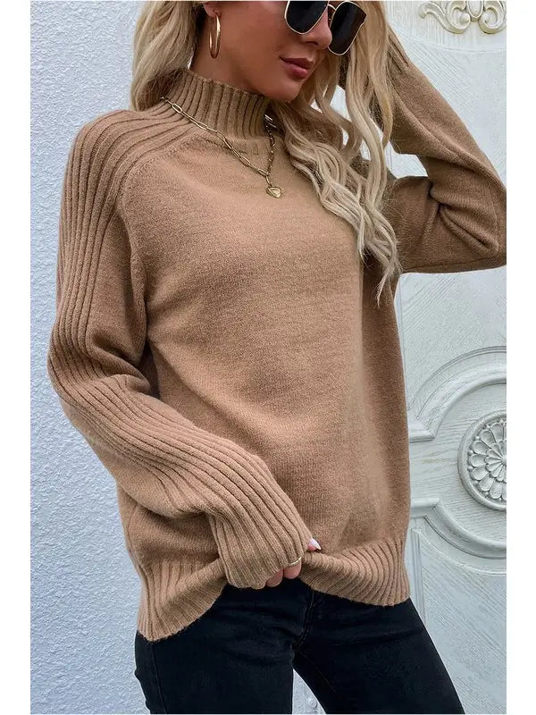 Turtle Neck Long Sleeve Casual Sweater