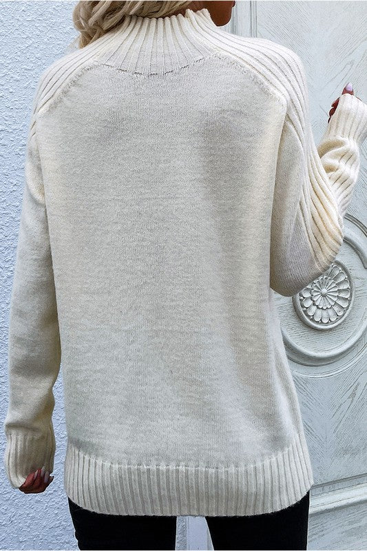 Turtle Neck Long Sleeve Casual Sweater